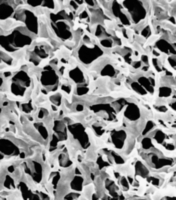 Millipore HVLP02500親水性表面濾膜，PVDF，0.45um孔徑