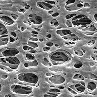 HPWP09050 Millipore Express親水性PES 0.22um,90mm表面濾膜