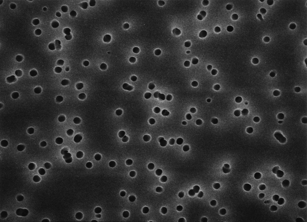 Millipore Isopore表面濾膜詳細技術(shù)參數(shù)以及濾膜代碼大全